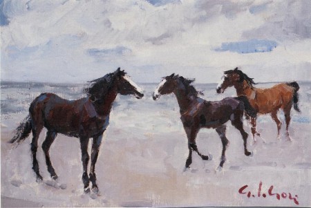 Criniere al vento - 1971